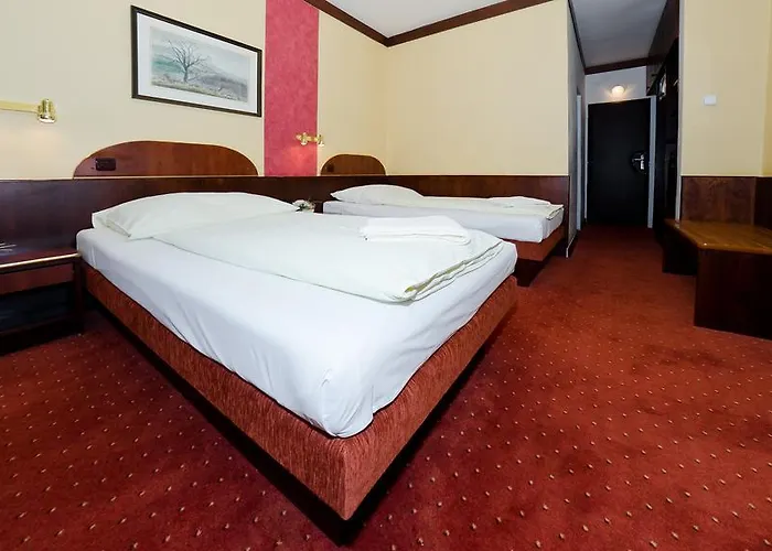 Myslivna 3* Brno